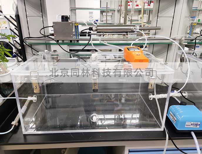 低濃度臭氧對(duì)小鼠的毒性影響